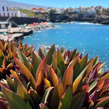 Kwatera prywatna Alquiler De Privada Con Bano Compartido Cerca Al Mar! Alcalá la Real