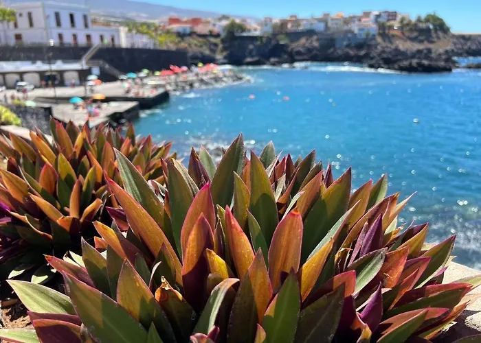 Accommodatie bij particulieren Alquiler De Privada Con Bano Compartido Cerca Al Mar! Alcalá la Real